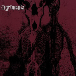Agrimonia - Agrimonia (2....