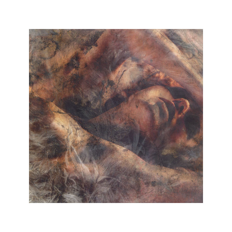 Converge - Unloved and Weeded Out Compilation (2. Hand, Red/Clear/Yellow/Green, 4x7")