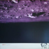 Cave In - Jupiter + Anomalies Vol. 3 (2. Hand, Clear Vinyl, 2LP)