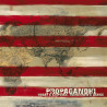 Propagandhi - Today's Empires, Tomorrows Ashes (2. Hand, RE, LP)