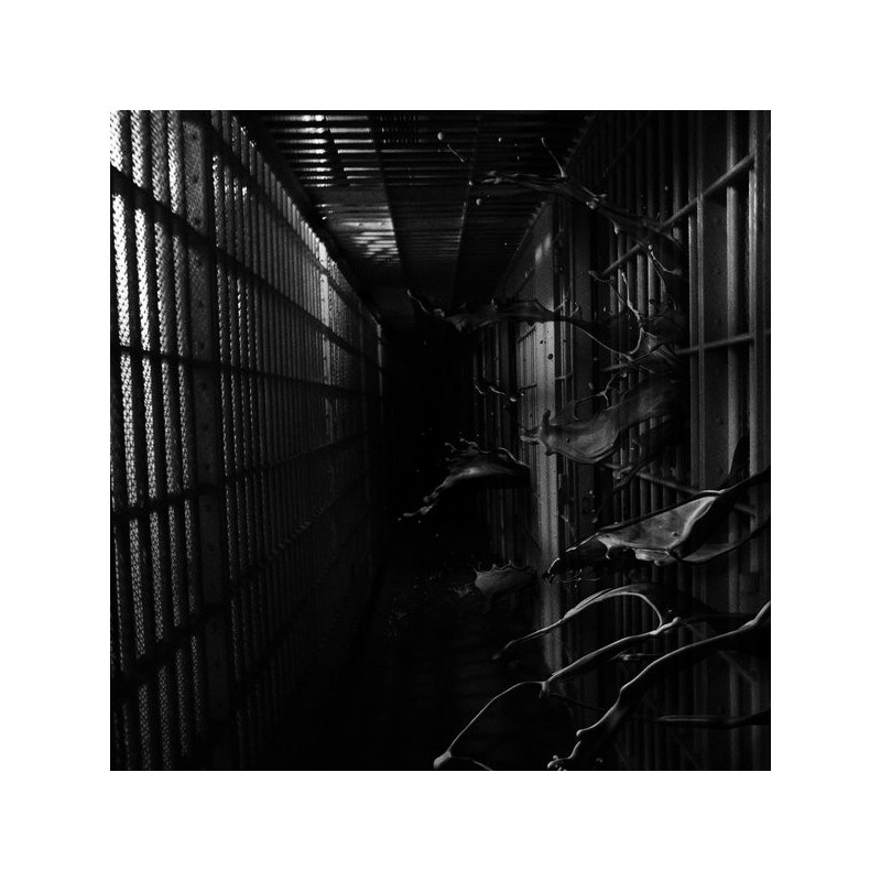 Regional Justice Center - Institution (2. Hand, 45rpm, One-Sided 12" EP)