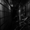 Regional Justice Center - Institution (2. Hand, 45rpm, One-Sided 12" EP)