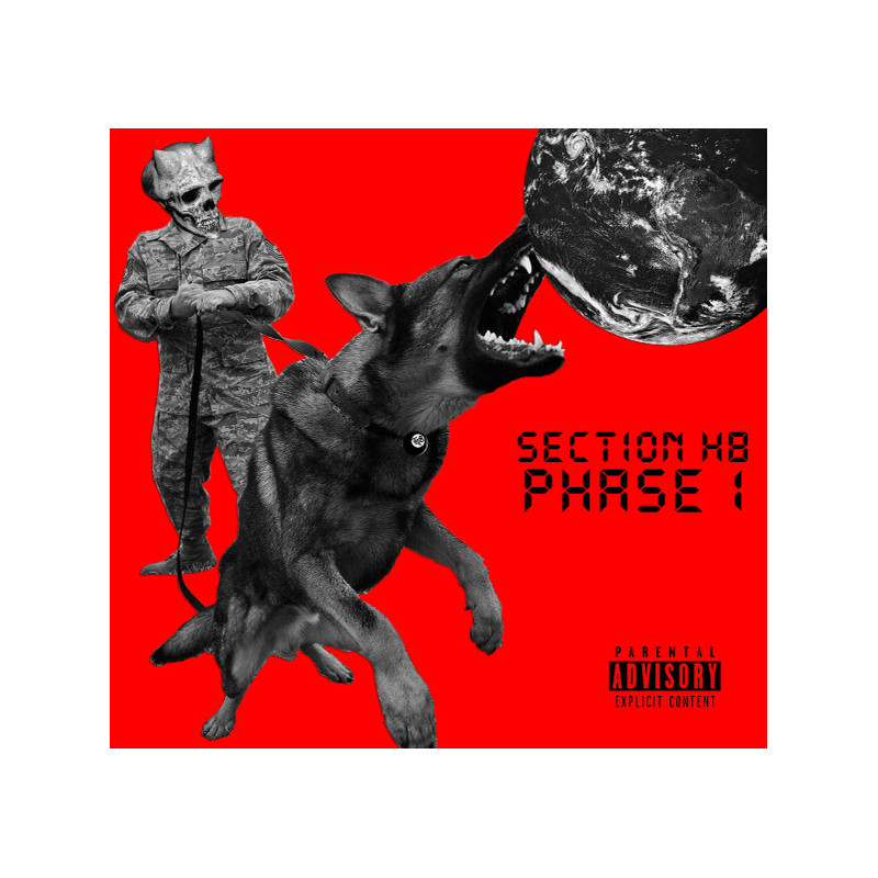 Section H8 - Phase 1 (2. Hand, Grey Vinyl, 7")