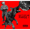 Section H8 - Phase 1 (2. Hand, Grey Vinyl, 7")