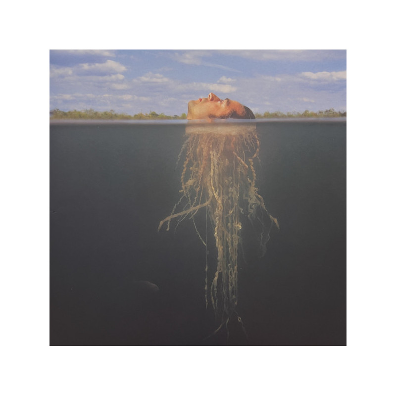 The Mars Volta - De-Loused in the Comatorium (2. Hand, RE, Blue & Green Vinyl, 2LP)