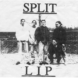 Split Lip - For the Love of the Wounded (2. Hand, Green Vinyl)