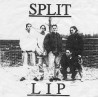 Split Lip - For the Love of the Wounded (2. Hand, Green Vinyl)