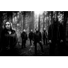Shape of Despair - Return to the Void (Black/Red Marbled Vinyl, 2LP)