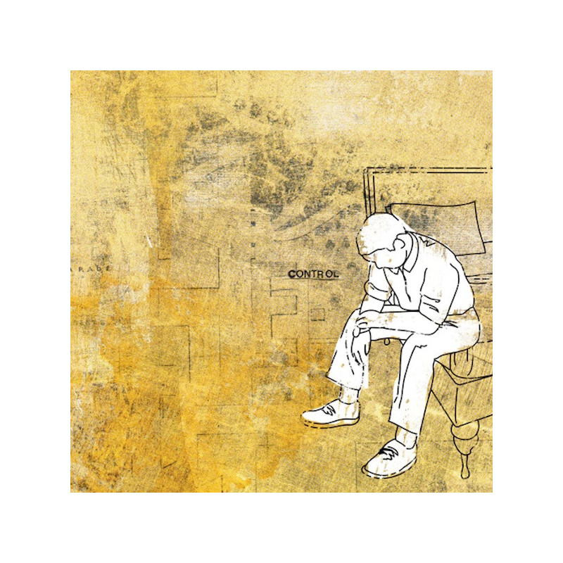 Pedro the Lion - Control (2. Hand, LP)