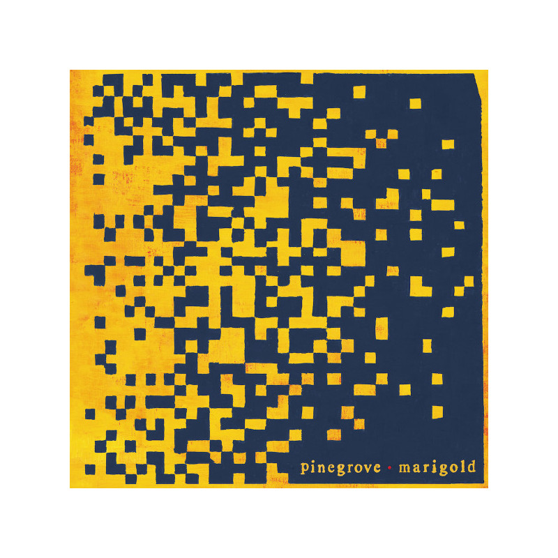 Pinegrove - Marigold (2. Hand, Yellow Vinyl)