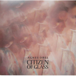 Agnes Obel - Citizen of Glass (2. Hand, LP)