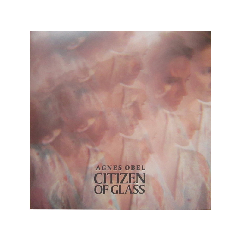 Agnes Obel - Citizen of Glass (2. Hand, LP)
