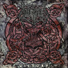 Unleashed - Victory (2. Hand, LP, RARITÄT)