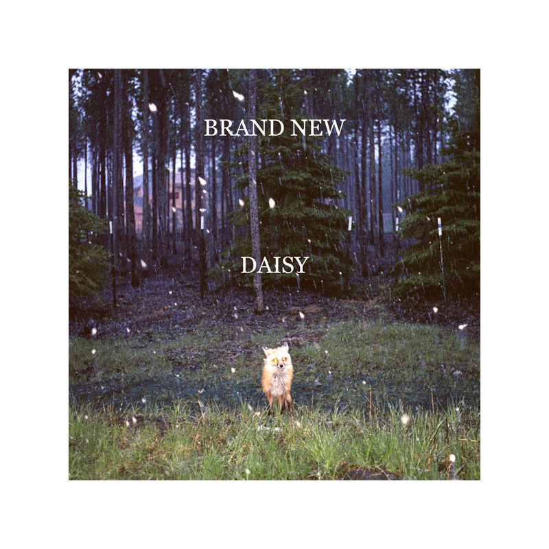 Brand New - Daisy (2. Hand, RE, LP)