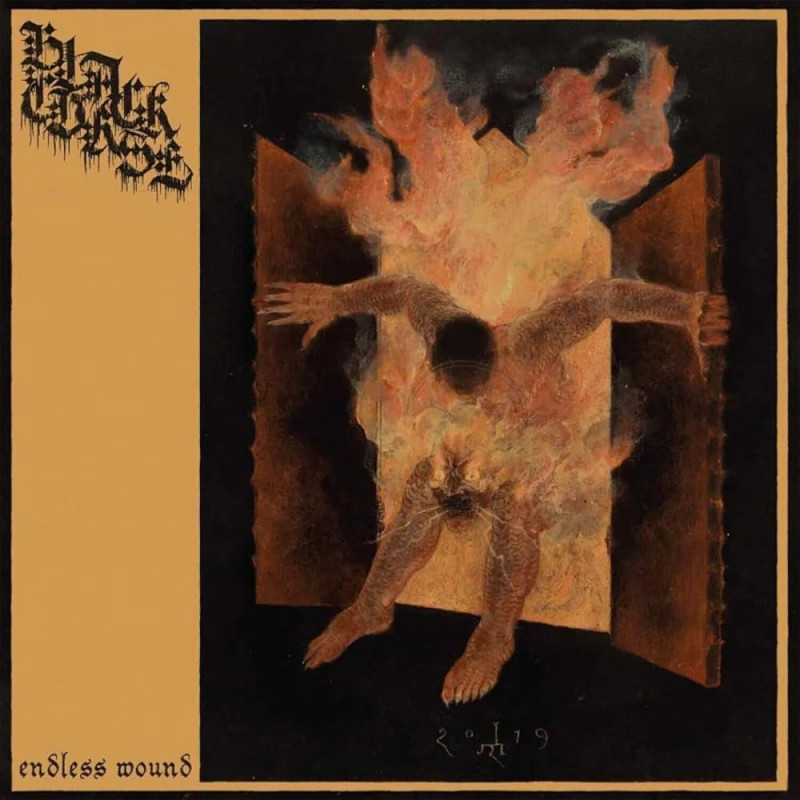 Black Curse - Endless Wounds (Black Vinyl)