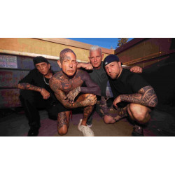 Biohazard - Divided We Fall (lim. Orange Vinyl)