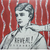 REVEAL! - FLYSTRIPS ( Black Vinyl )