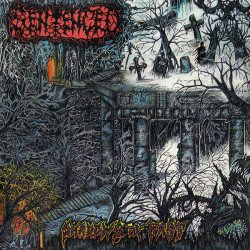 Sentenced - Shadows of Past...