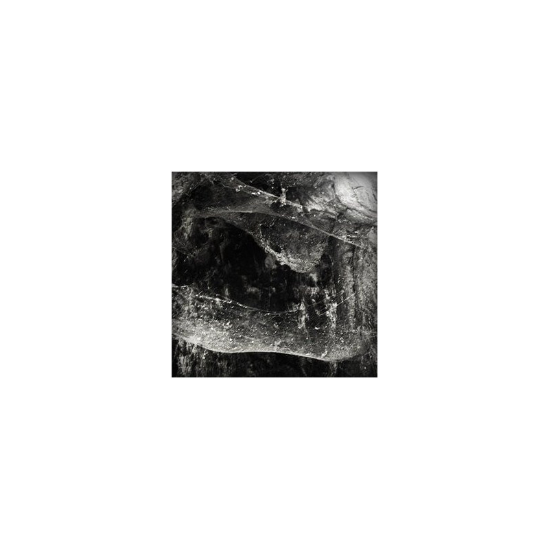 Abyssal - Novit Enim Dominus Qui Sunt Etus (Vinyl)