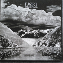 FJØRT – Demontage (Vinyl)