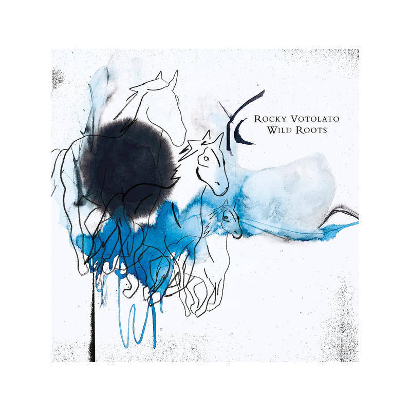 Rocky Votolato ‎– Wild Roots (Vinyl)