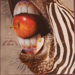 A-Z – A-Z (Vinyl)