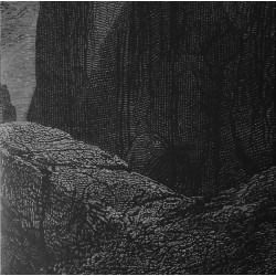 Null - Entity (Black Vinyl)