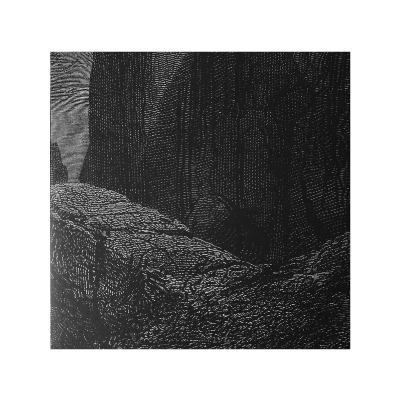 Null - Entity (Black Vinyl)