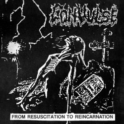 Convulse - From...