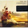 The Joy Formidable - Wolf´s Law (CD)