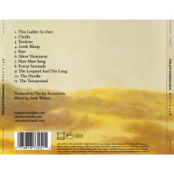 The Joy Formidable - Wolf´s Law (CD)