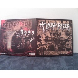 Terrorizer ‎– Darker Days Ahead(Picture Vinyl)