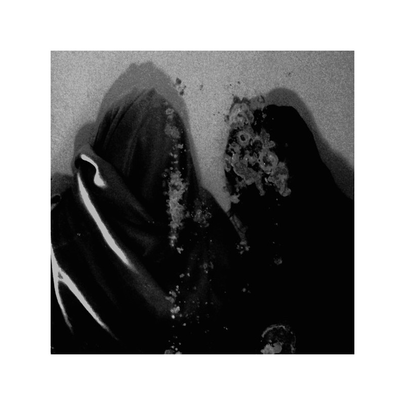 Fluisteraars - Luwte (Digi - CD)
