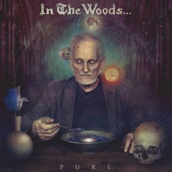 In The Woods - Pure (Digi -...