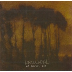 Primordial - A Journey s...